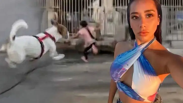 Dijan Köse kimdir, nereli, neden gündemde?