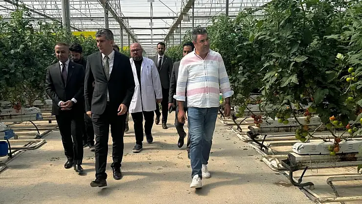 Diyadin'de tarıma dayalı sanayi yatırımlarında yeni adım