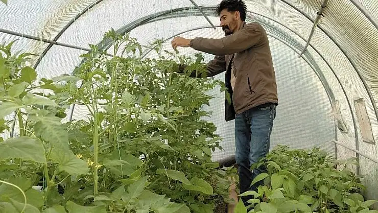 Diyadinli berberin hobi bahçesi ilgi odağı oldu