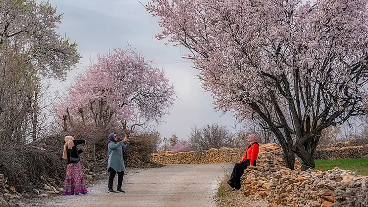 Diyarbakır'da çiçek açan badem ağaçları fotoğraf tutkunlarını büyülüyor