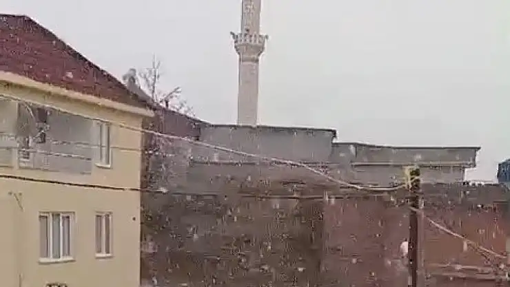 Diyarbakır'da kar yağışı etkili oldu