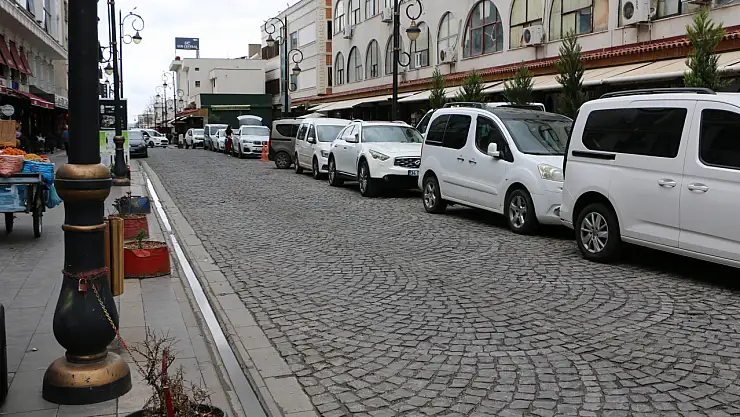 Diyarbakır'da tarihi mekanlardaki başıboş köpekler vatandaşları tedirgin ediyor