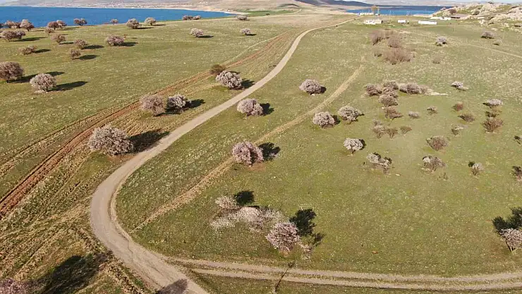 Doğaseverlerin Gözdesi: Çarpanak Yarımadası