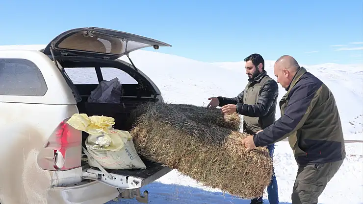 Doğu Anadolu'da yaban hayvanları için 14 tondan fazla yem bırakıldı