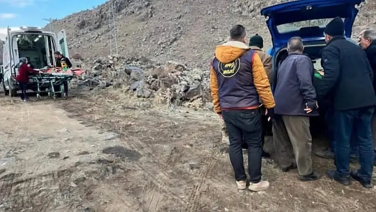 Doğubayazıt'ta ayı saldırısı: 1 kişi ağır yaralandı