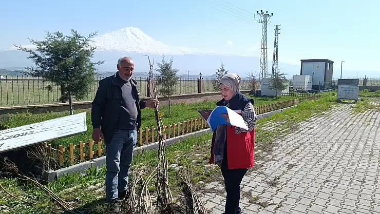 Doğubayazıt'ta çiftçilere yüzde 75 hibeli meyve fidanı desteği