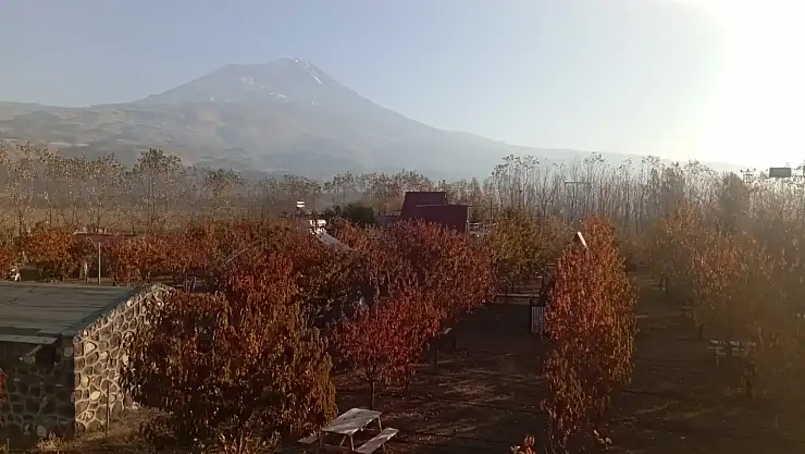 Doğubayazıt'ta sonbaharın son renkleri görsel şölen sundu