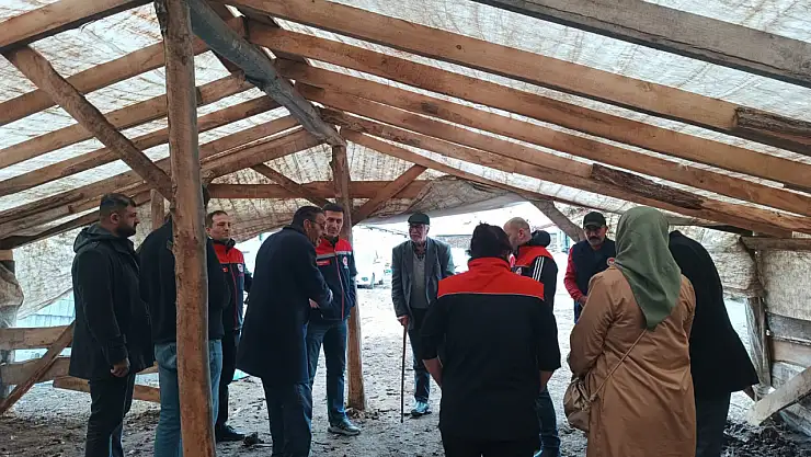 Doğubayazıt Tutumlu Köyü'nde telef olan hayvanlar için destek süreci başladı