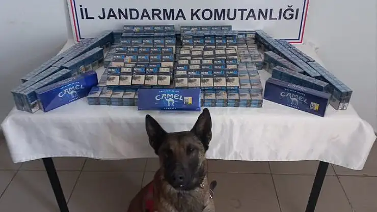 Doğubayazıt ve Taşlıçay'da kaçakçılara büyük darbe