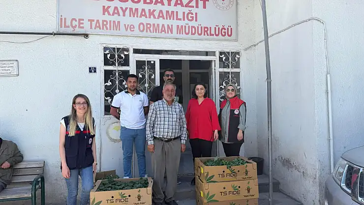 Doğubayazıtlı üreticilere sebze fideleri teslim edildi