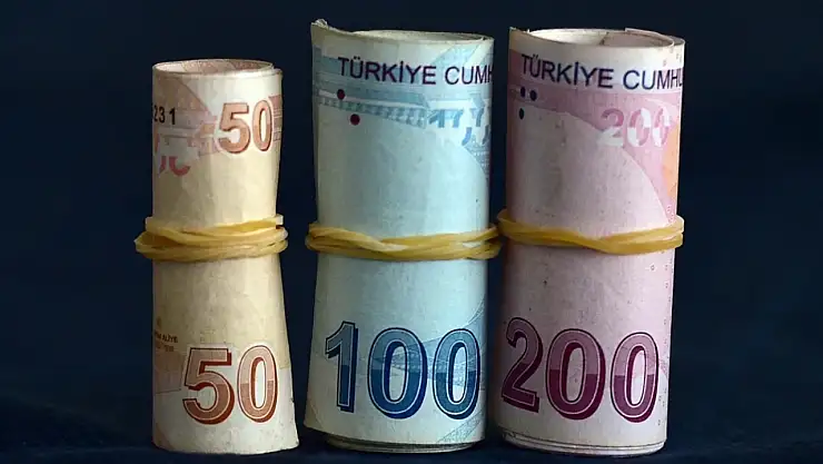 Döviz Mevduatlarında Geçen Hafta Düşüş Gözlemlendi