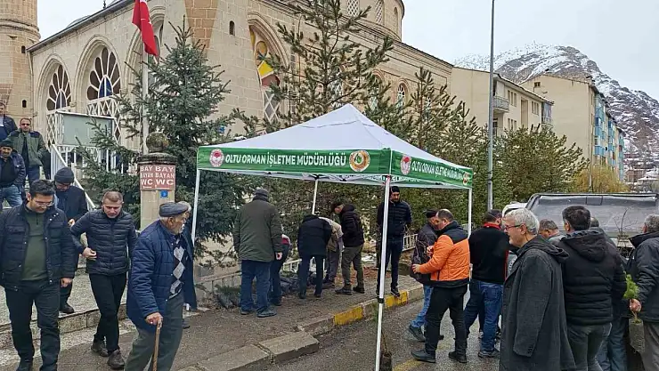 Dünya ormancılık haftasında Oltu'ya yeşil hediye