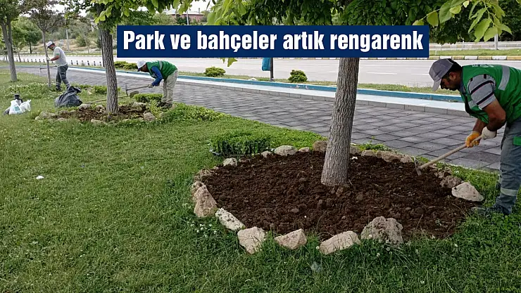 Edremit Belediyesi'nden Yeşil Alan Seferberliği: 100 Bin Çiçekle Şehir Canlanıyor