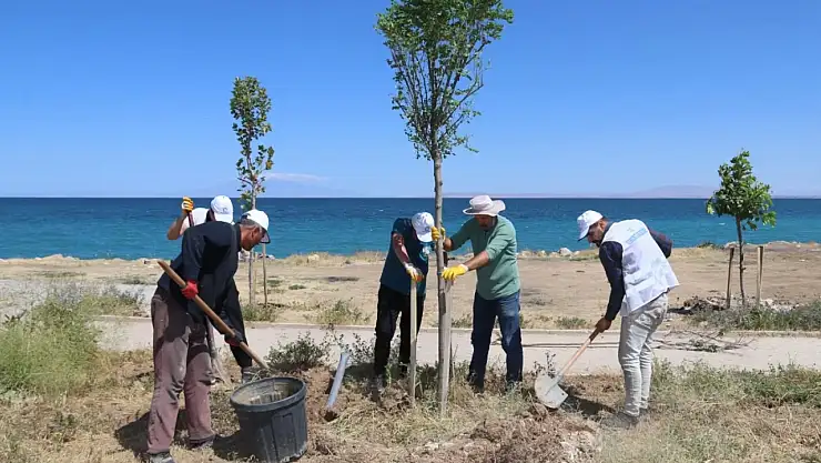 Edremit sahilinde 22.750 m²'lik alan yenileniyor, modern mesire alanı yaz aylarında tamamlanacak