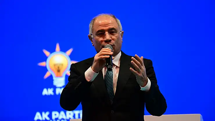 Efkan Ala: AK Parti'nin muhalefeti var ama alternatifi yok