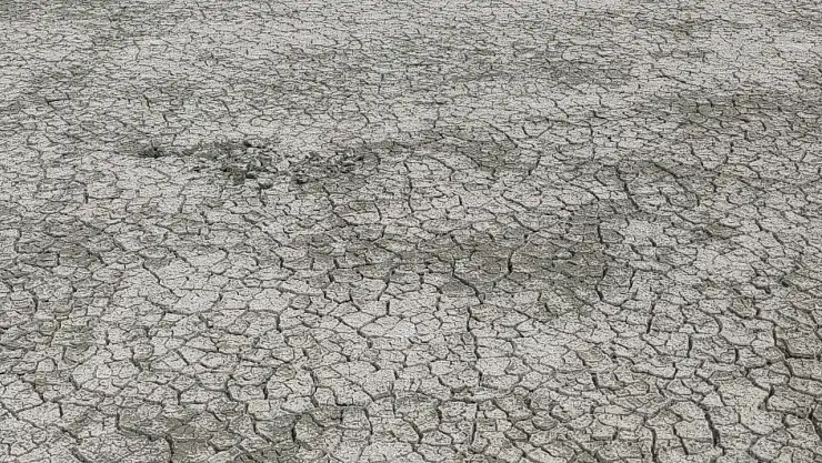 Erçek Gölü'nde Kuraklık Alarmı: Su Seviyesi Düşüyor, Doğal Yaşam Tehdit Altında