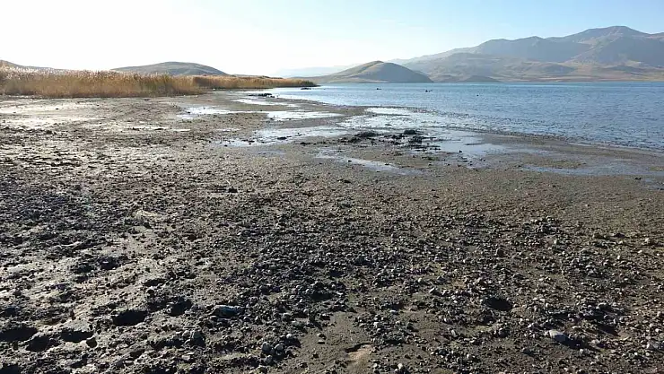 Erçek Gölü'ndeki su çekilmesiyle mikrobiyalitler gün yüzüne çıktı