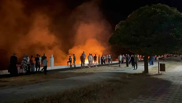 Erciş'te anız yangını itfaiye ekipleri tarafından kontrol altına alındı