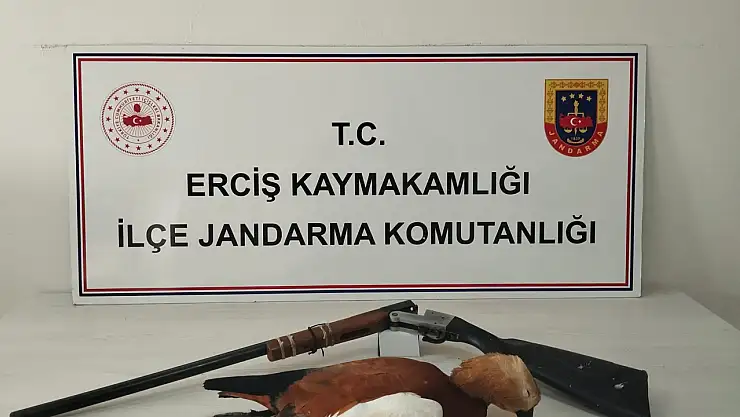 Erciş'te Kaçak Avcılığa Geçit Yok