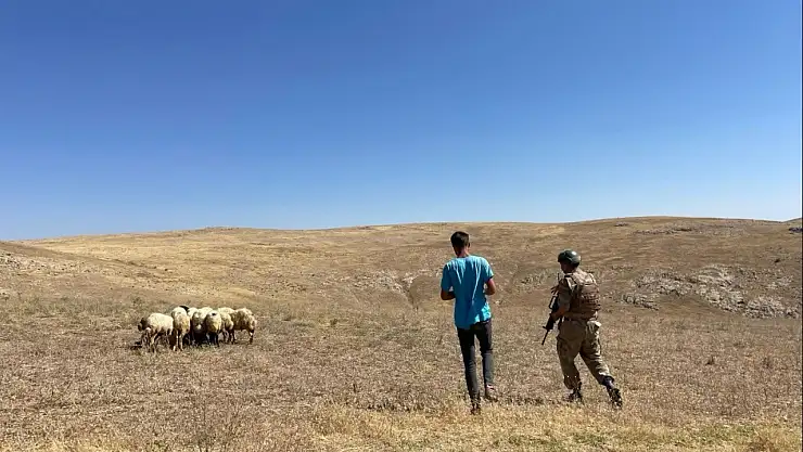 Erciş'te kaybolan 26 koyun, jandarma dronuyla bulundu!