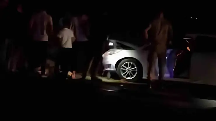 Erciş'te otomobil koyun sürüsüne çarptı, 8 koyun telef oldu