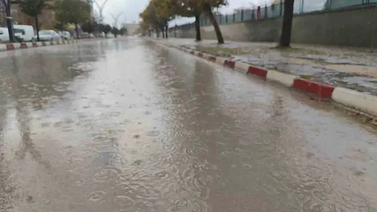 Erciş'te yağmur yağışı etkili oldu