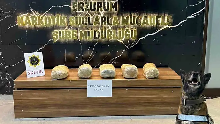 Erzurum'da 5 kilo skunk uyuşturucu ele geçirildi, 2 kişi tutuklandı