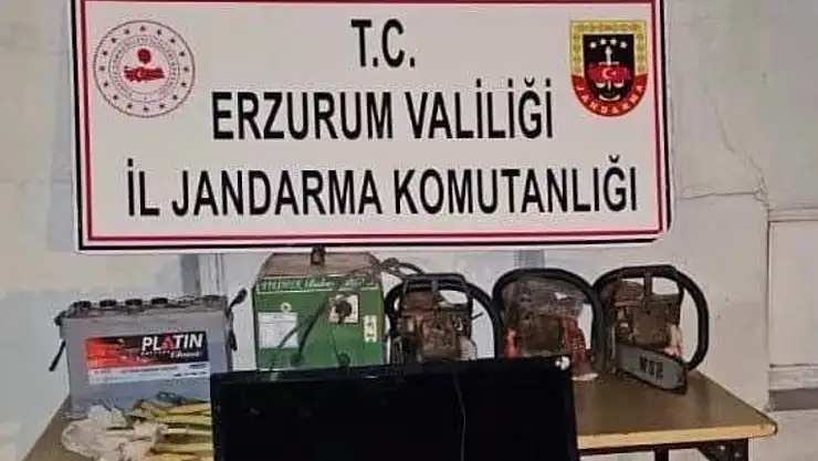 Erzurum'da 7 evdeki hırsızlık, Jandarma'nın başarısıyla aydınlatıldı, 1 şüpheli tutuklandı
