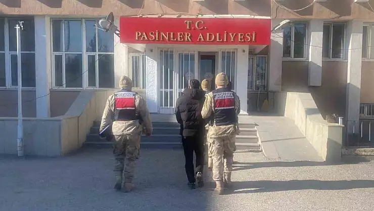 Erzurum'da büyükbaş hayvan hırsızları jandarma tarafından yakalandı, hayvanlar sahibine teslim edildi