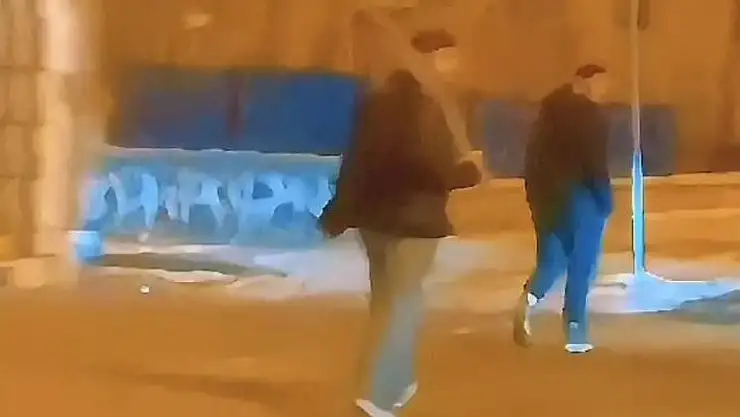 Erzurum'da cadde ortasında kılıçla yürüyen gençler yakalandı
