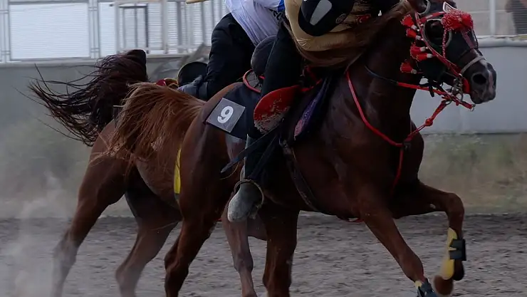 Erzurum'da Cirit Coşkusu Tüm Hızıyla Devam Ediyor