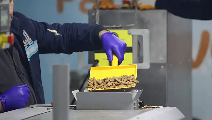 Erzurum'da hayvan dostu tesisle sokak hayvanları aç kalmıyor