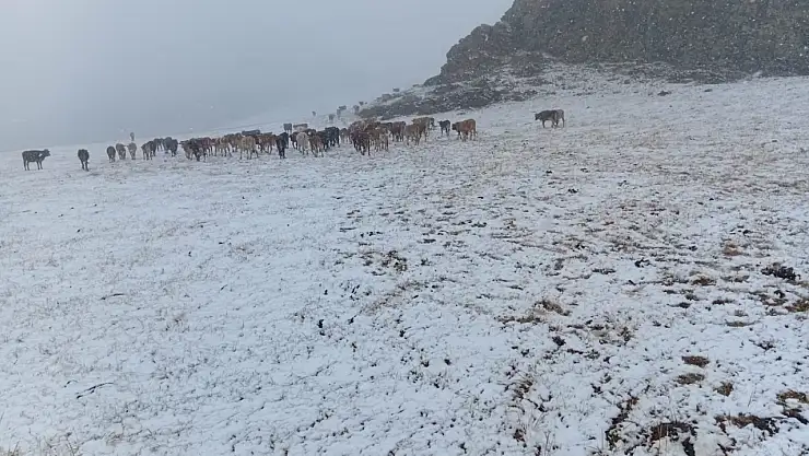 Erzurum'da kar yağışı çobanları zor durumda bıraktı, sıcaklıklar -2.6'ya düştü