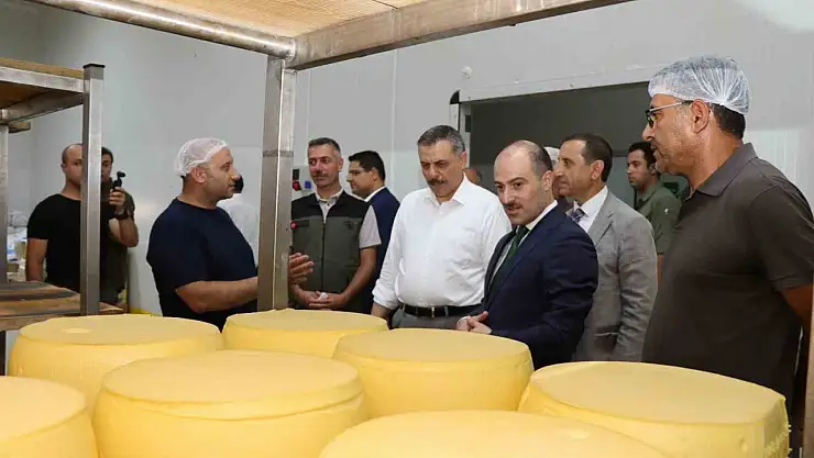 Erzurum'da Kaşar Üretimi Artış Gösteriyor: Yerel Lezzetler Gün Yüzüne Çıkıyor