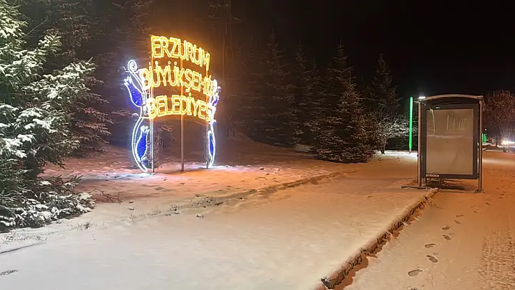 Erzurum'da kış yeniden yüzünü gösterdi