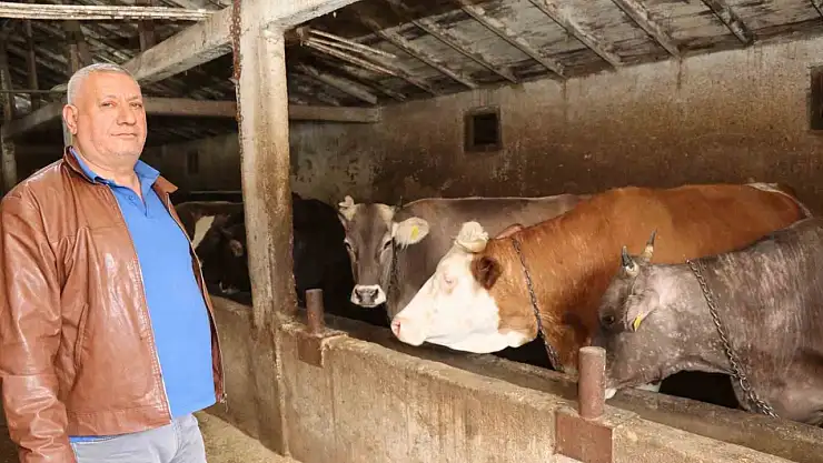 Erzurum'da Kurban Bayramı öncesi kurbanlık fiyatları 90 bin ile 350 bin lira arasında değişiyor