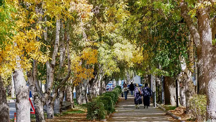 Erzurum'da Kuvvetli Rüzgar ve Kar Yağışı Uyarısı Yapıldı