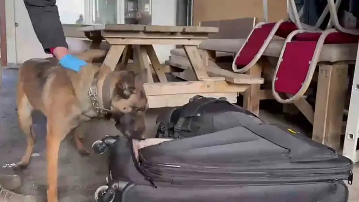 Erzurum'da Narkotik Köpeği Hera ile 2,75 kg metamfetamin ele geçirildi