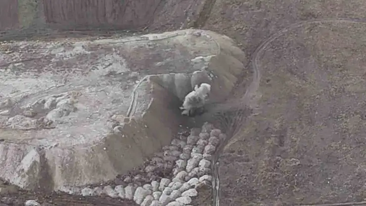 Erzurum'da OSB'de top mermisi imhası için Vali Çiftçi incelemelerde bulundu