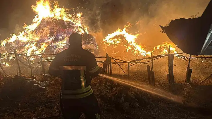 Erzurum'da ot yangını: 2 bin 500 balya kül oldu