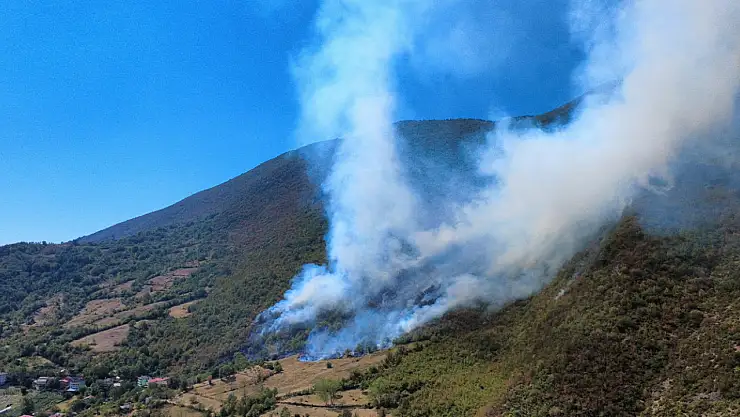 Erzurum'da Yangın, Kırmızıtaş Mahallesi'nde Evleri Tehdit Etti!