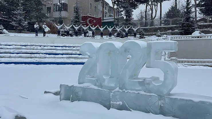 Erzurum'da yoğun kar yağışı