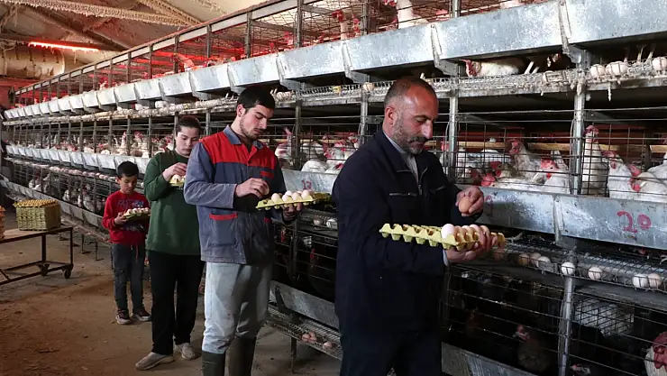 Erzurum'da yumurtanın hikayesi çadırda başladı