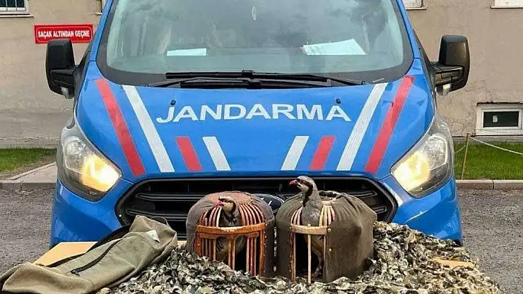 Erzurum İl Jandarma Komutanlığı'ndan Yasa Dışı Avcılıkla Mücadele