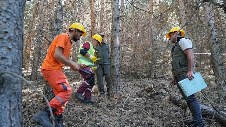 Erzurum Orman Ekiplerinden Yangın Öncesi Ağaçlandırma Bakım Çalışması Başladı