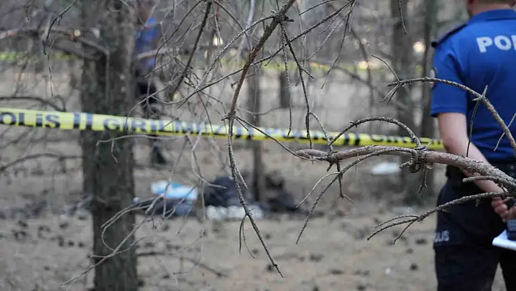 Erzurum Ormanlarında Şok Edici Buluntu: Gizemli Bir Ceset Ortaya Çıktı!