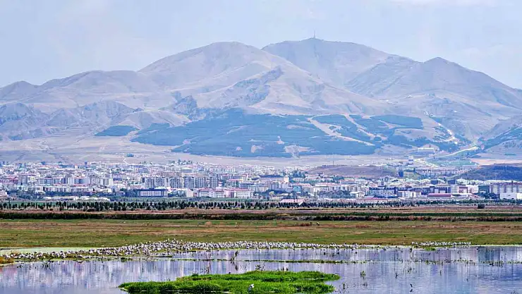 Erzurum'un Beşeri Sermaye Endeksi Puanı 0.675'e Yükseldi!