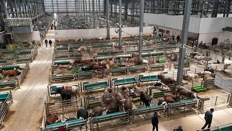 Erzurum'un Canlı Hayvan Borsası, Çiftçilere Umut Işığı Oluyor!