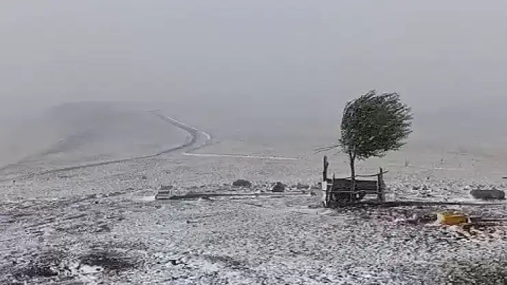 Erzurum'un Karayazı ilçesine mevsimin ilk karı düştü, Çakmak Dağı beyaza büründü!