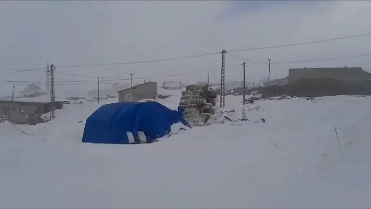 Erzurum'un köyleri kara esir oldu